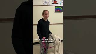 Learning In Motion: Tillicum Elementary School & Addie the Therapy Dog