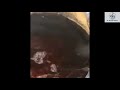 ابوذية | مثل عود الخضر بالنار ينحاط| لسان الشاعر سمير صبيح