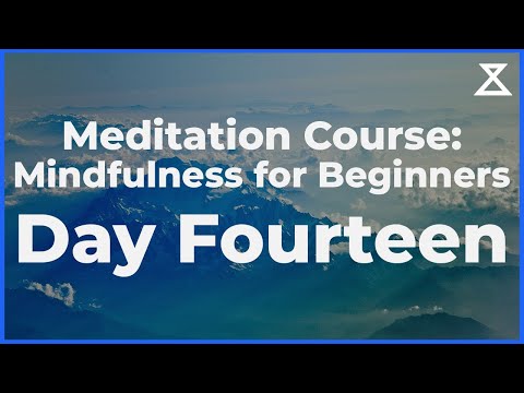Day 14/30: Beginner's Mindfulness Meditation Course