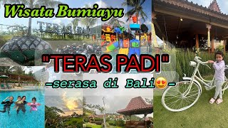 TERAS PADI | Tempat Wisata Nuansa Bali di Bumiayu, Brebes Selatan