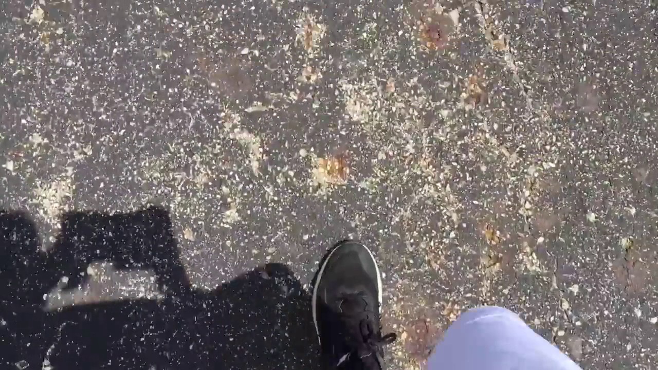 Be a maverick (official music video)for Logan paul by magenta monkey