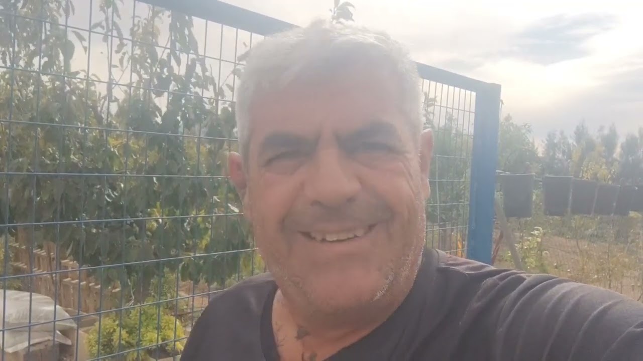 Cómo sembrar ajos para tener una buena cosecha. (fácil y rápido)