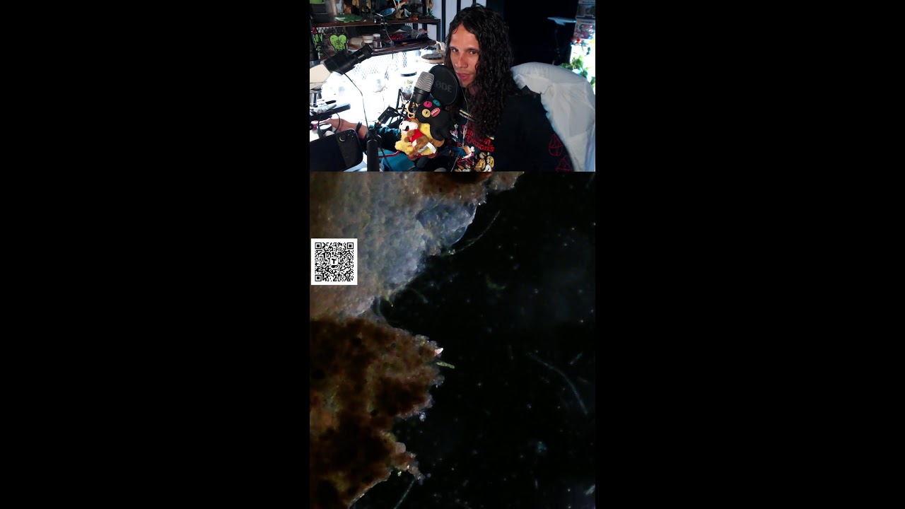 Chillcroscopy + acoustic loops 🎸🔬 | Level Up For Nature 2026 Fundraiser 🌎