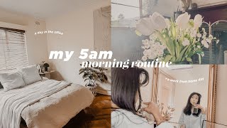 my 5am daily morning routine | new korean skincare, productive and healthy habits