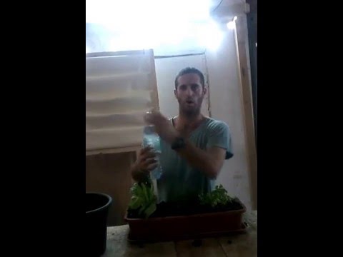 טיפ 3 - השקיה