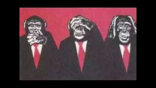 Flexprod- Mushroom Paradise