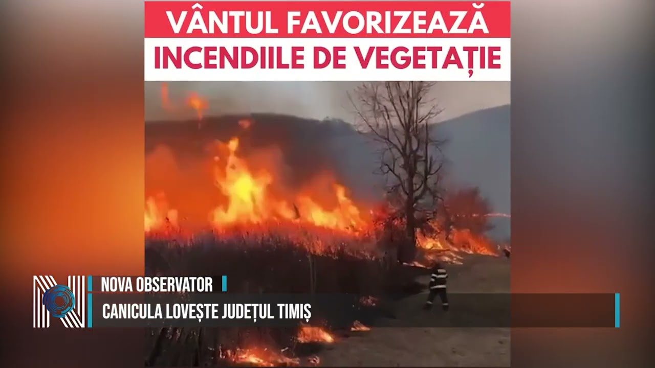CANICULA LOVEȘTE JUDEȚUL TIMIȘ CANICULA LOVEȘTE JUDEȚUL TIMIȘ