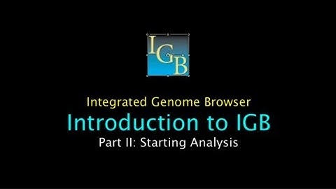 Introduction to IGB Part II: Starting Analysis