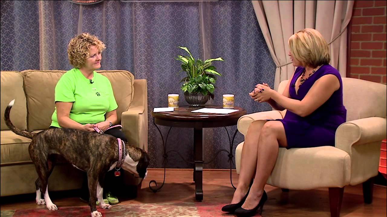 Find a Friend 09/16/15 w/ Shirley Brackman from Peace for Paws