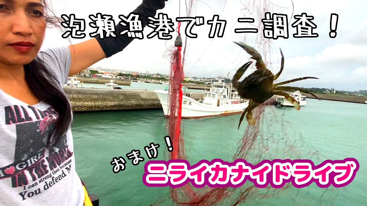 沖縄釣り カニ釣り 泡瀬漁港 カニ調査 沖縄観光 ニライカナイ タイワンガザミ チャンネル登録者0人ありがとうございます Youtube