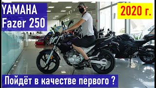 YAMAHA Fazer 250 стоит ли рассматривать в качестве первого мотоцикла ?