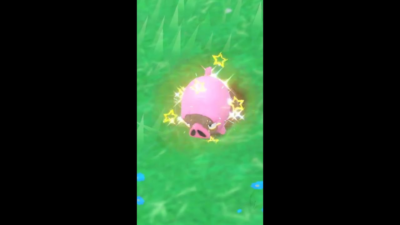 Accidentally Finding Shiny Lechonk (Full Odds) | Pokemon Scarlet and Violet 