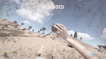 RUST - Projectile Invalid :)