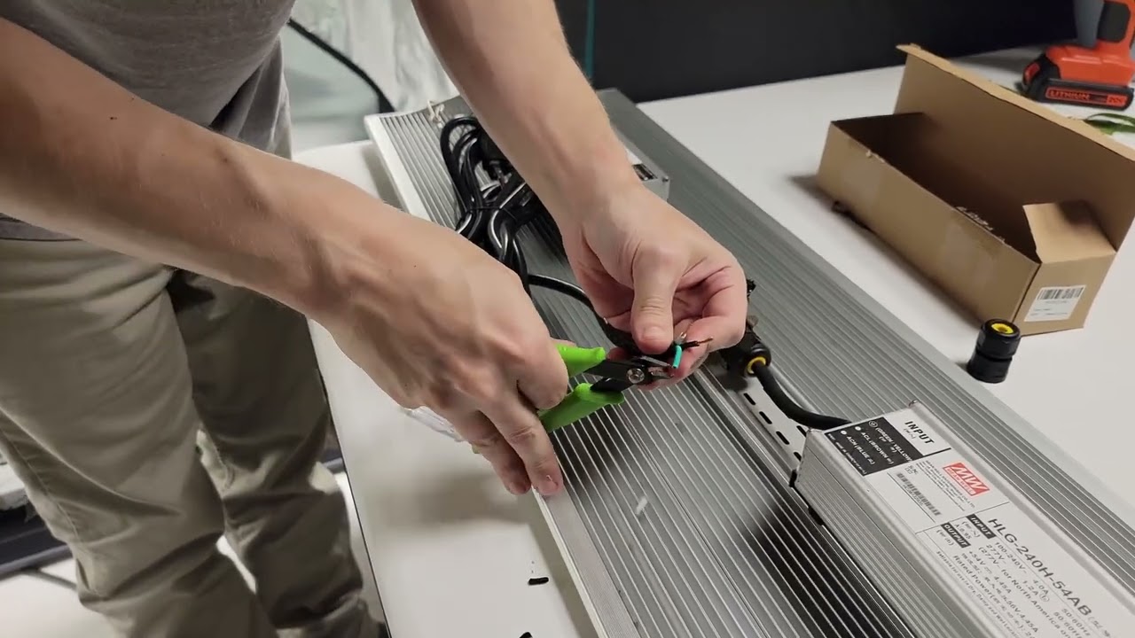 Stank Fruit Smelling Great and 240v Conversion Under way!