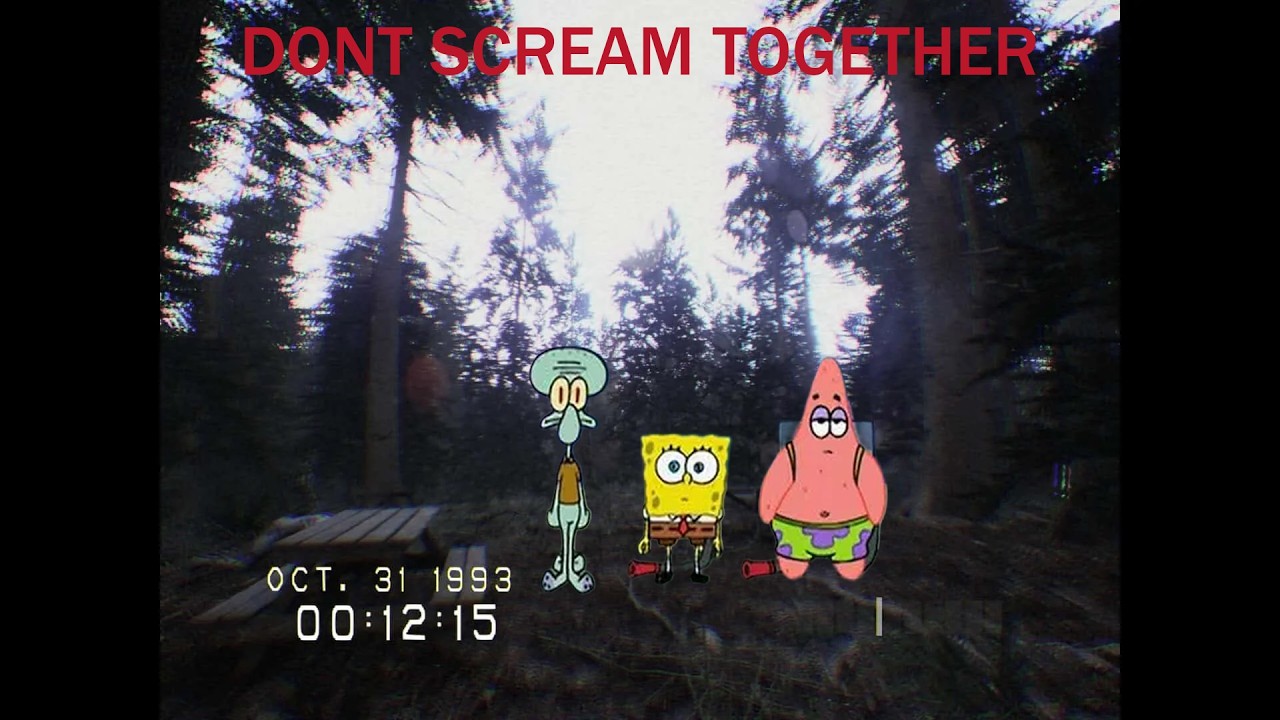 Idiots Play Dont Scream Together