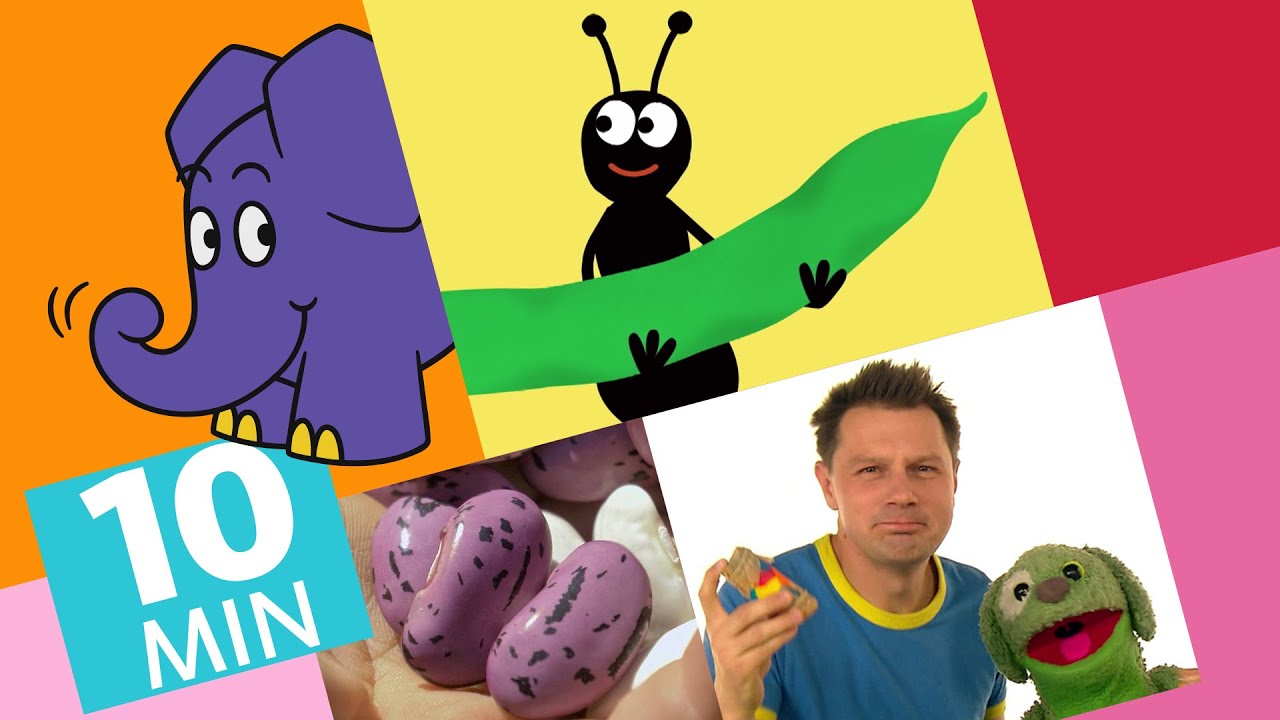 Hallo Elefant - Wie wachsen Bohnen & Wie bastelt man eine Rassel aus Bohnen? | Der Elefant | WDR