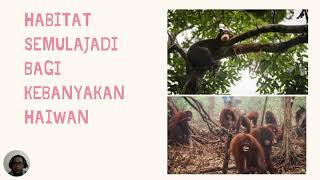 Sains Tahun 3 Tumbuh tumbuhan. (Kepentingan Pembiakan Tumbuh-Tumbuhan)