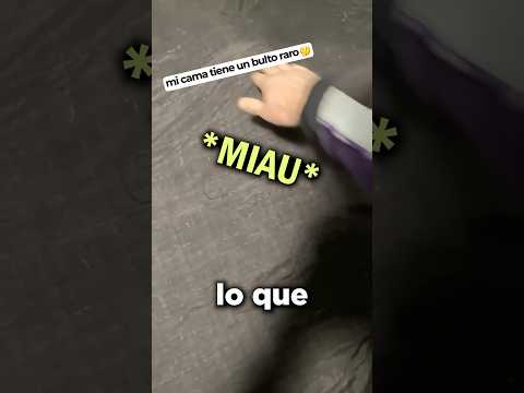 Él Encontró un