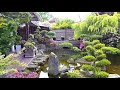 THE MOST BEAUTIFUL BACKYARD FISH POND IN THE WORLD | Garden Designs, Part 1