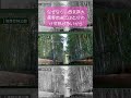 京都市西京区ＰＲ動画『最強区のひとびと』～竹では最強！？編～