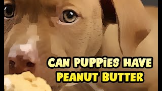 Can Puppies Have Peanut Butter