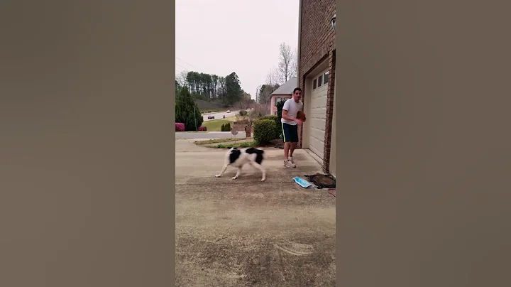 One point for Turbo!