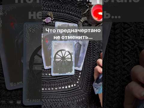 ❗️Это 200 Вам по Судьбе... 🌓✨ Расклад таро #таро #tarot #таролог