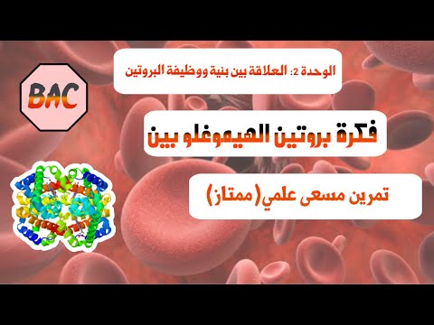 تمرين ممتاز حول العلاقة بين بنية ووظيفة البروتين الهيموغلوبين بكالوريا