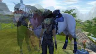 SSO Neues Intro