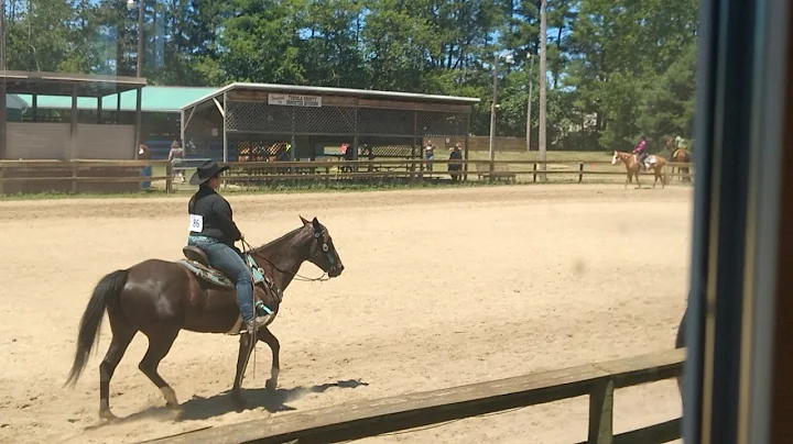 Horse show
