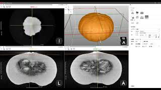 Squash：3D slices movie