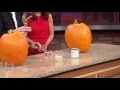 Pumpkin science  cool science experiment