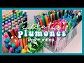 REVIVE TUS PLUMONES ✰ ¿cómo cuidar tus plumones?