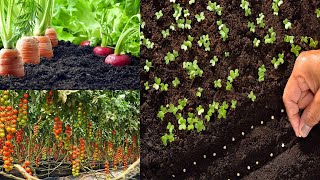دليل الزراعة المنزلية الشامل . بعد هذا الفديو ستزرع الخضروات والورقيات في البيت بمنتهي السهولة