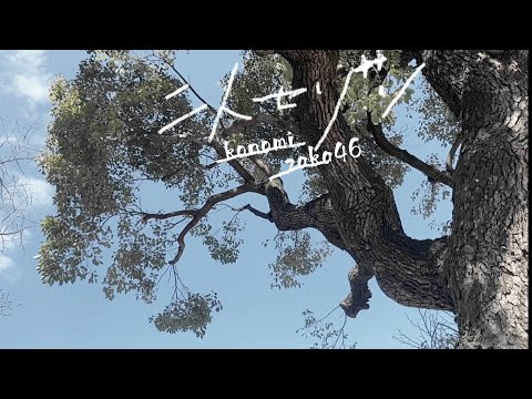 【MV風】【踊ってみた】二人セゾン/欅坂46 【木乃望坂46】