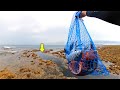 【離島生活】1日の釣りでいくら稼げる？驚きの金額を公開します。