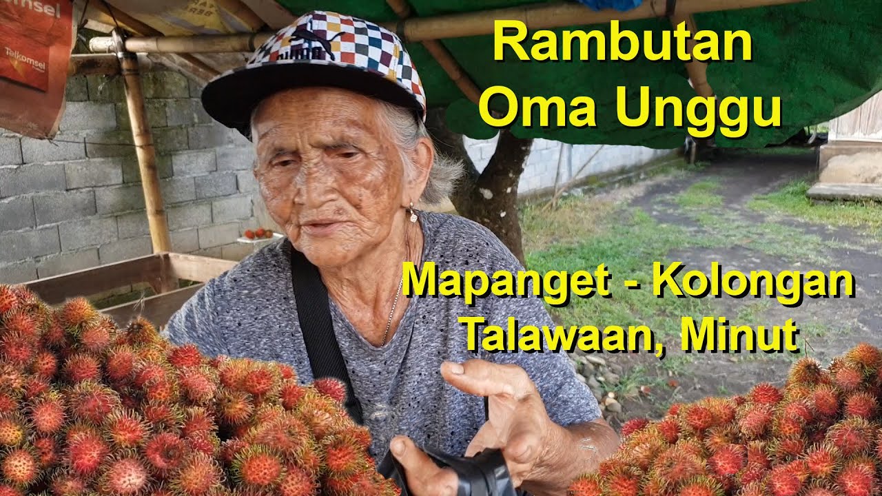 Rambutan Oma Unggu di Kolongan, Talawaan, Minahasa Utara