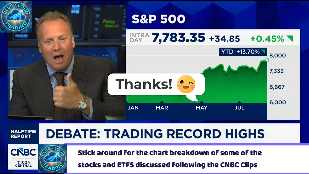 "THE EARNINGS STORY HAS BEEN SO OBVIOUS LIKE A SMACK IN THE FACE"  says JOSH BROWN  (08/13)