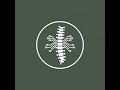 Spine - Full-Endoscopic Laminotomy for Stenosis with Spondylolisthesis