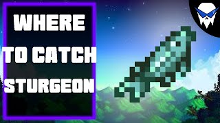 Stardew Valley – How to Catch Sturgeon (Best Spots & Simple Tips)