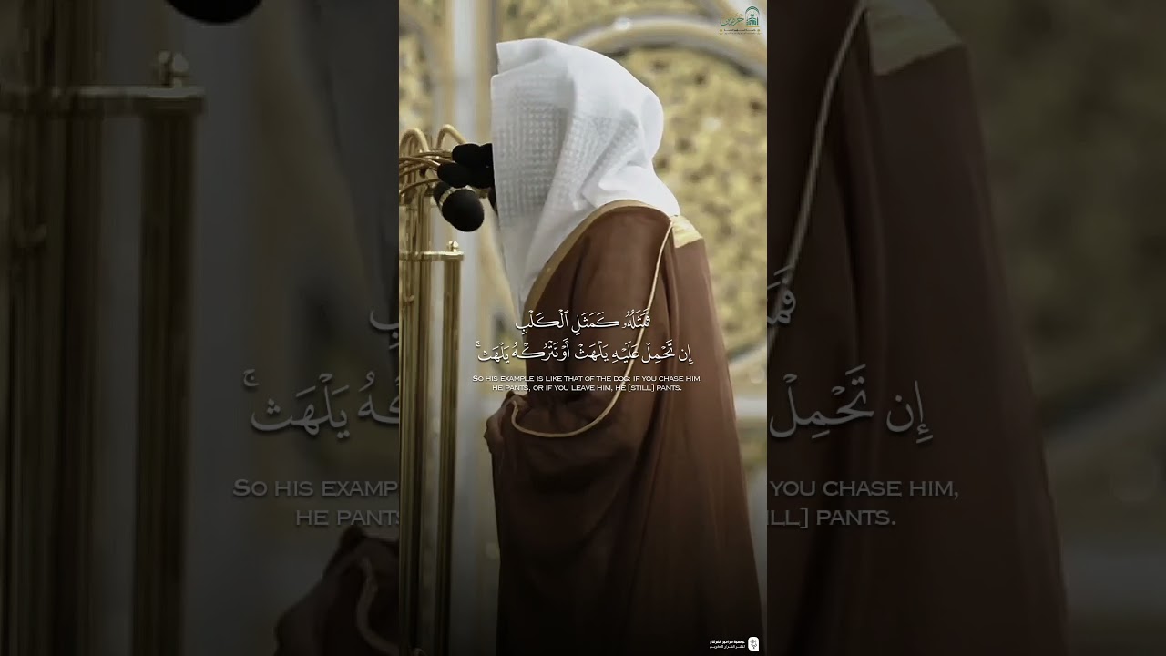 مقتطف من تلاوة فضيلة الشيخ #عبدالله_القرافي من صلاة التراويح ليلة ١٢ رمضان ١٤٤٦هـ.