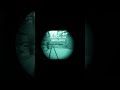 Full Size 5.56 Silencer Comparison Flash Test; Surefire, SilencerCo, B&amp;T, CHS,Sionics