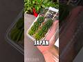 Small Things in Japan That Show Big Thinking ! #shorts