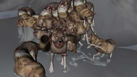 Puppeteer Animation in DAZ Studio