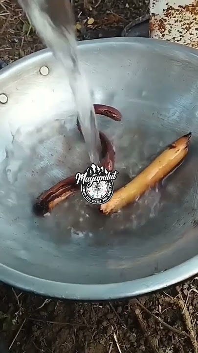 Khasiat Akar Pinang
