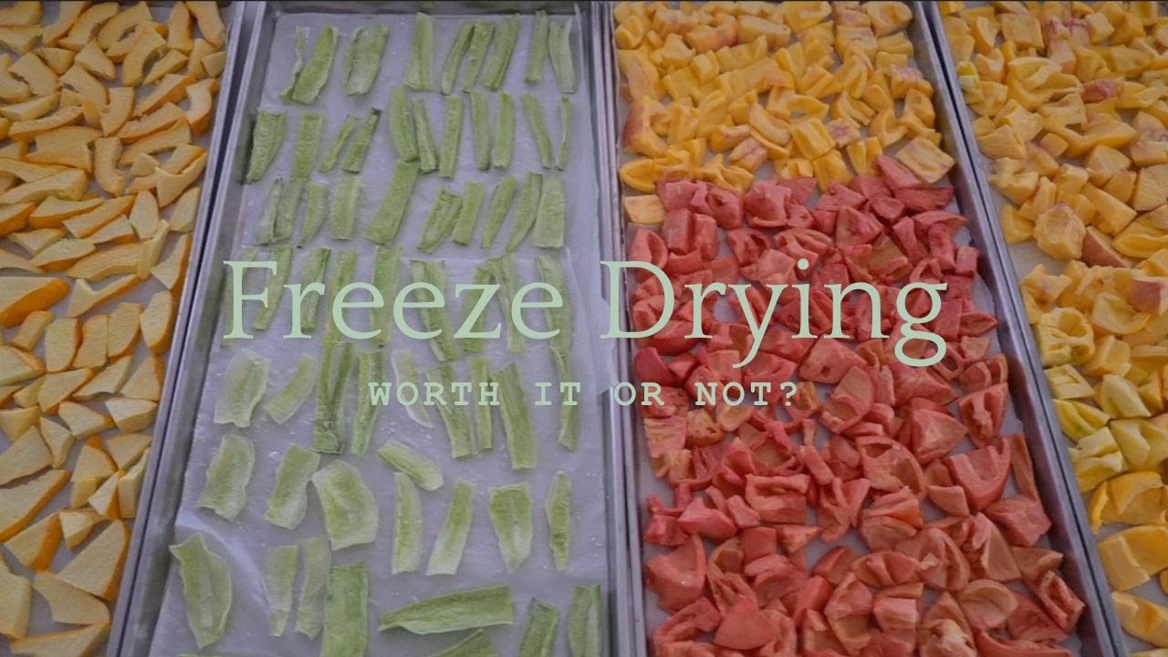 Harvest Right Freeze Dryer - What Works, What Doesn't, & Is It Worth The Cost?