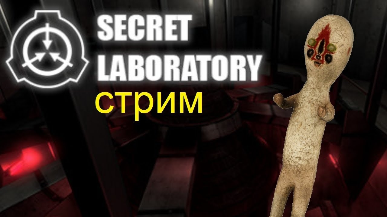 Scp не работает. СЦП секрет лаборатория.