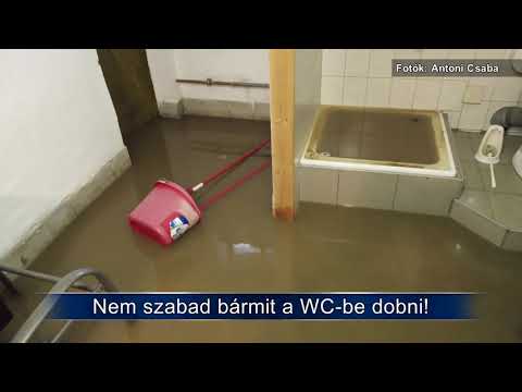 Videó: Hogy hívják a WC hátulját?