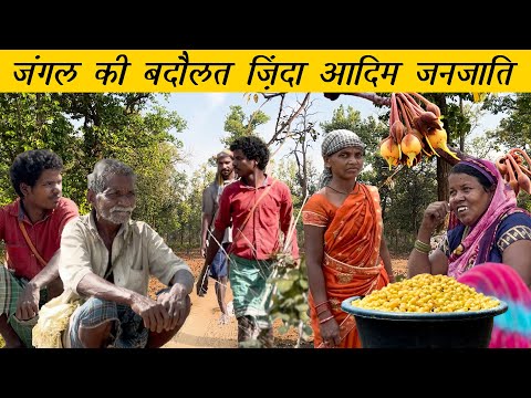 छत्तीसगढ़ का पहाड़ी कोरवा: जंगल की बदौलत जिंदा | Pahari Korwa Tribe Of Chhattisgarh