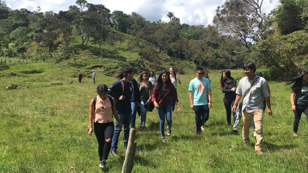 Supply Chain and Entrepreneurship in Colombia's Cut Flower Industry